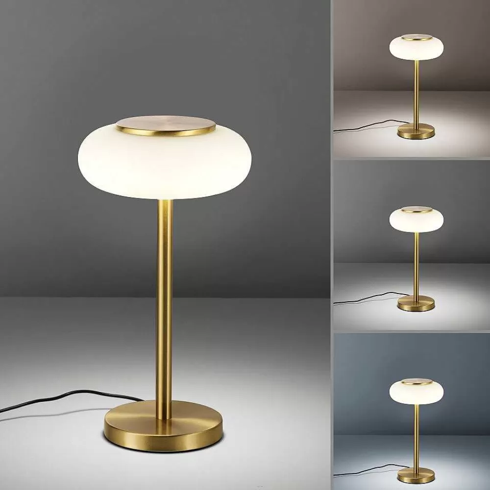 Paul Neuhaus Q-Serie Lampe De Table Paul Neuhaus Q-Etienne Led Laiton, 1 Lumiere, Telecommandes