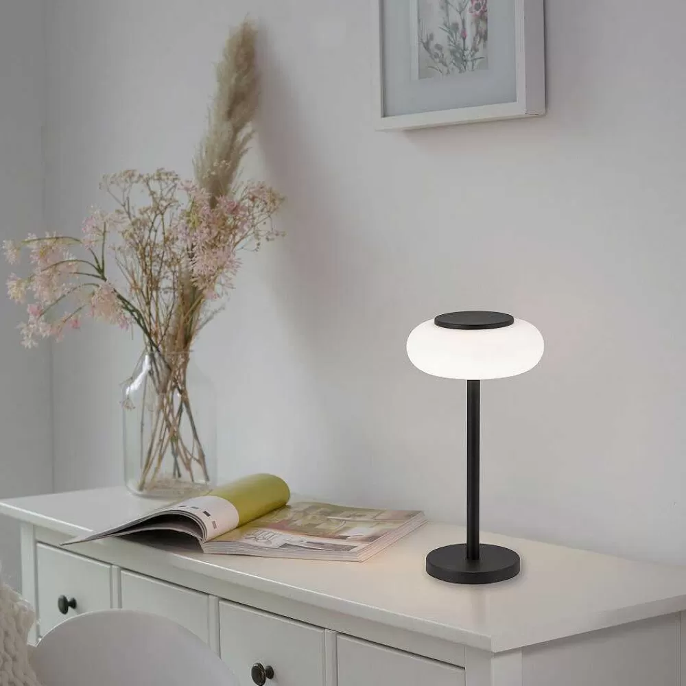 Paul Neuhaus Q-Serie Lampe De Table Paul Neuhaus Q-Etienne Led Noir, 1 Lumiere, Telecommandes