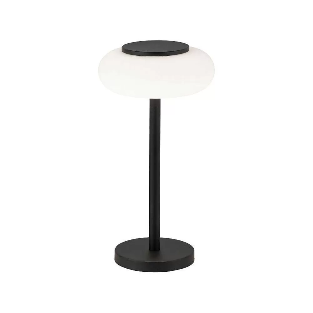 Paul Neuhaus Q-Serie Lampe De Table Paul Neuhaus Q-Etienne Led Noir, 1 Lumiere, Telecommandes