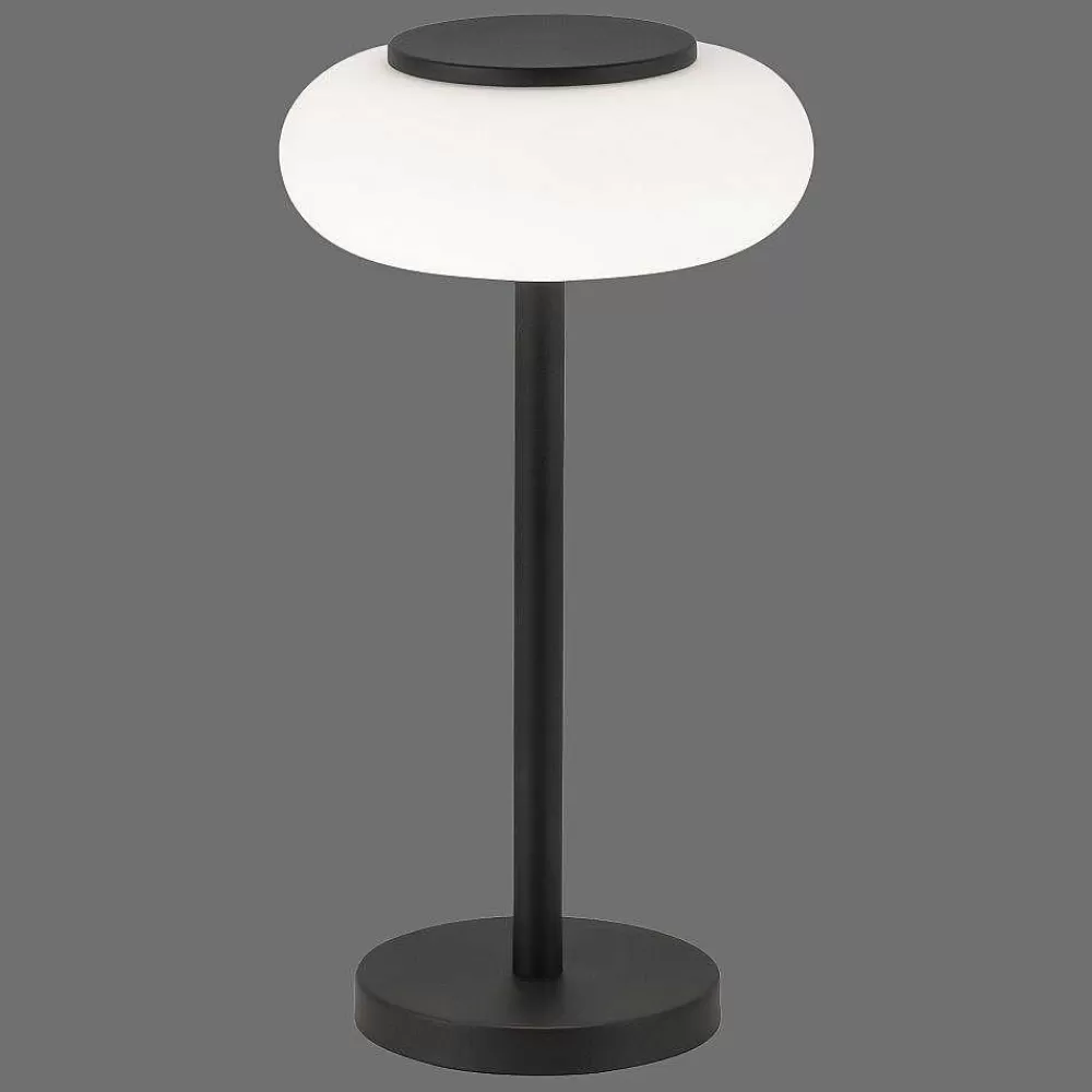 Paul Neuhaus Q-Serie Lampe De Table Paul Neuhaus Q-Etienne Led Noir, 1 Lumiere, Telecommandes