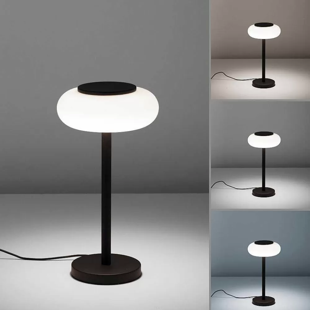 Paul Neuhaus Q-Serie Lampe De Table Paul Neuhaus Q-Etienne Led Noir, 1 Lumiere, Telecommandes