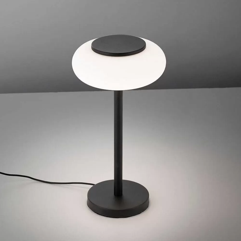 Paul Neuhaus Q-Serie Lampe De Table Paul Neuhaus Q-Etienne Led Noir, 1 Lumiere, Telecommandes