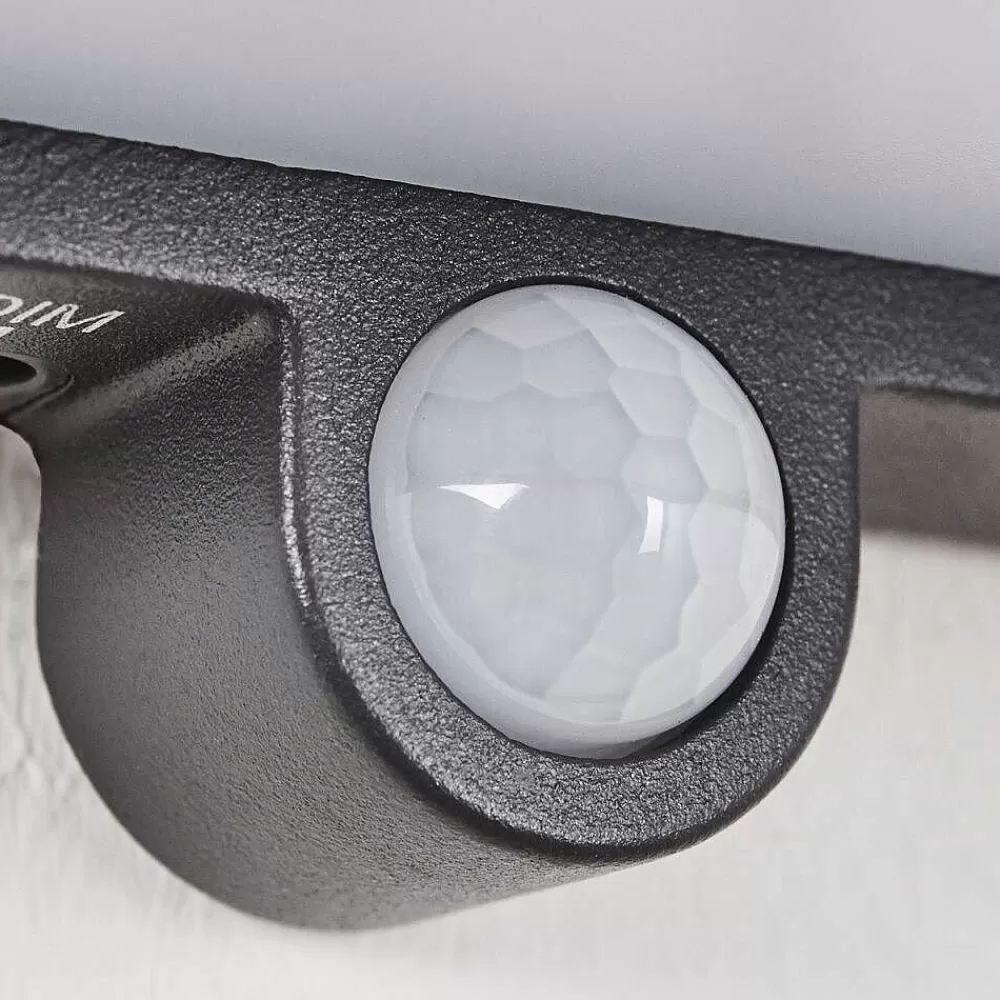 hofstein Lampe Solaires Burseryd Led Anthracite, 1 Lumiere, Detecteur De Mouvement