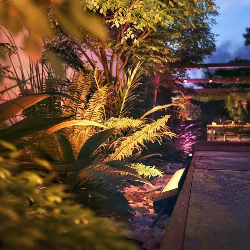 Luminaires Philips Philips Hue White And Color Ambiance Amarant Led Noir, 1 Lumiere, Changeur De Couleurs