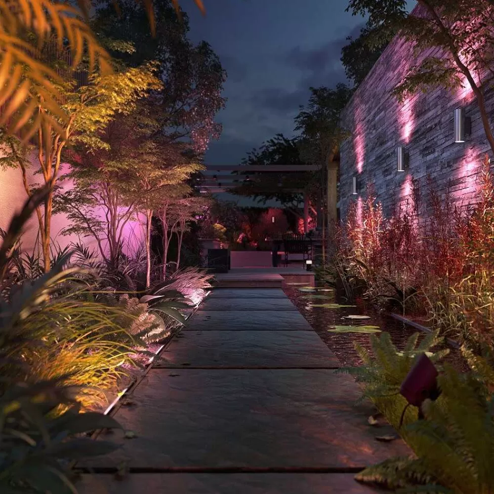 Luminaires Philips Philips Hue White And Color Ambiance Amarant Led Noir, 1 Lumiere, Changeur De Couleurs