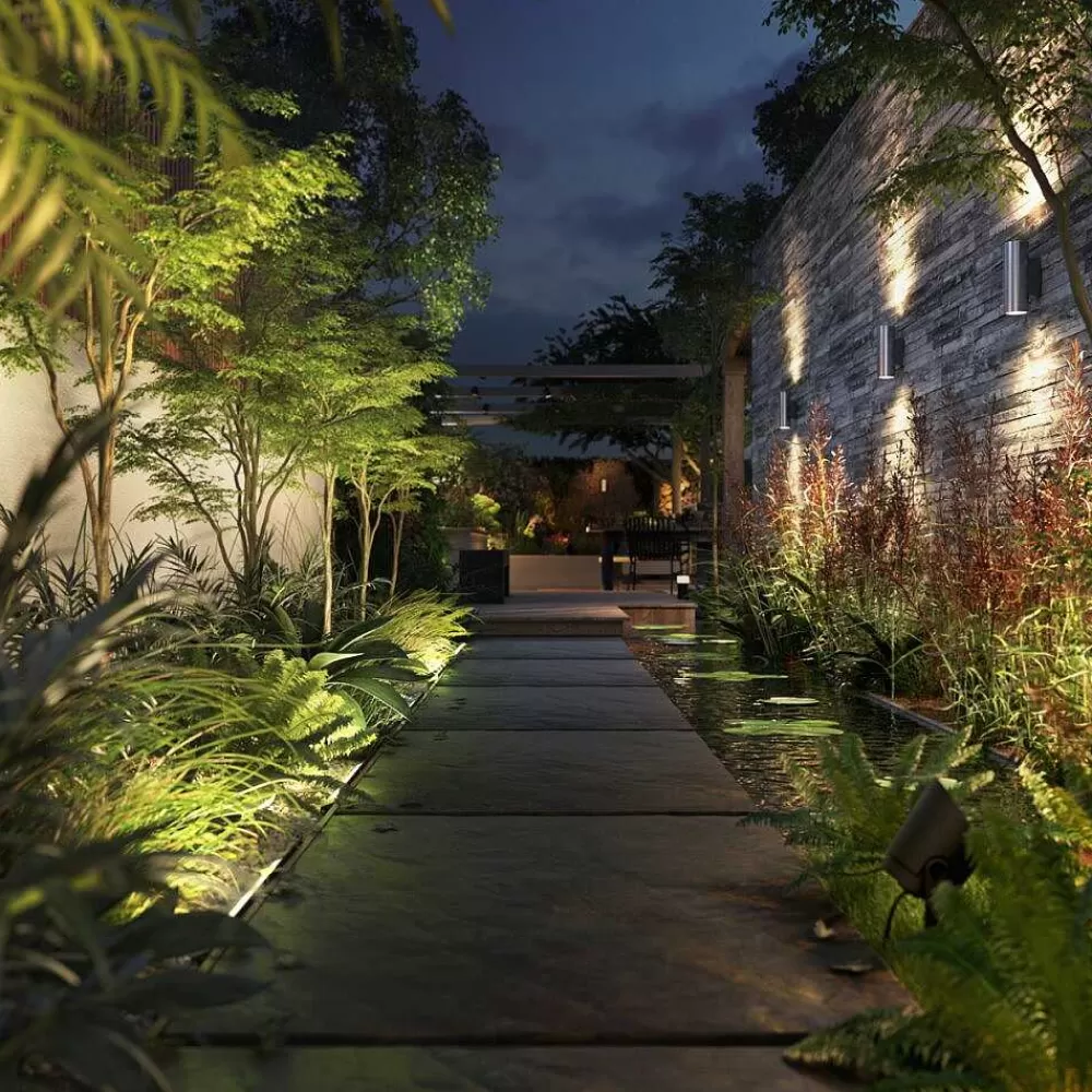 Luminaires Philips Philips Hue White And Color Ambiance Amarant Led Noir, 1 Lumiere, Changeur De Couleurs