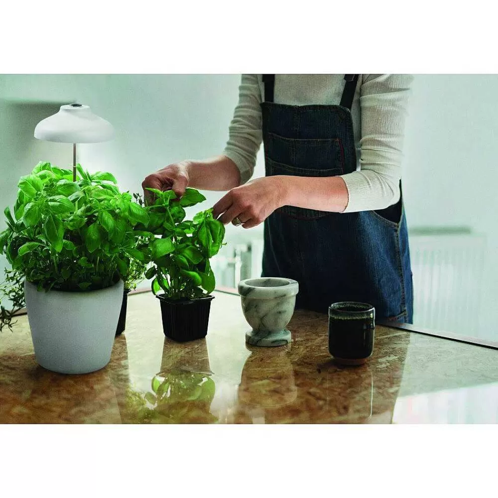 Luminaires Ledvance Pieu De Terre Ledvance Indoor Garden Blanc, 1 Lumiere