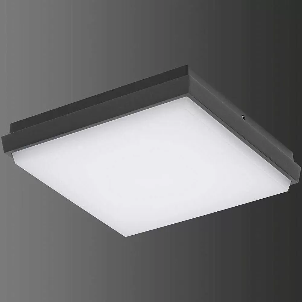 Luminaires LCD Plafonnier Exterieur Lcd Typ 5060 Led Noir, 1 Lumiere