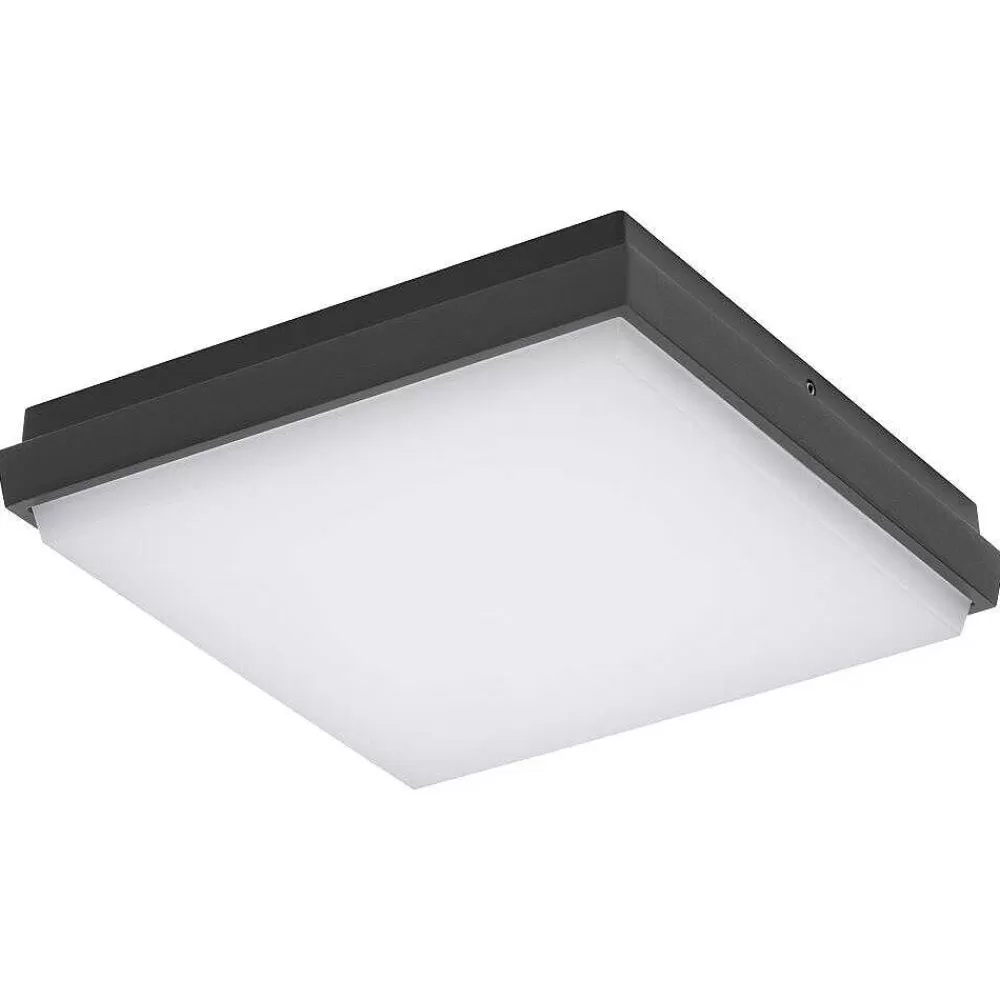 Luminaires LCD Plafonnier Exterieur Lcd Typ 5060 Led Noir, 1 Lumiere