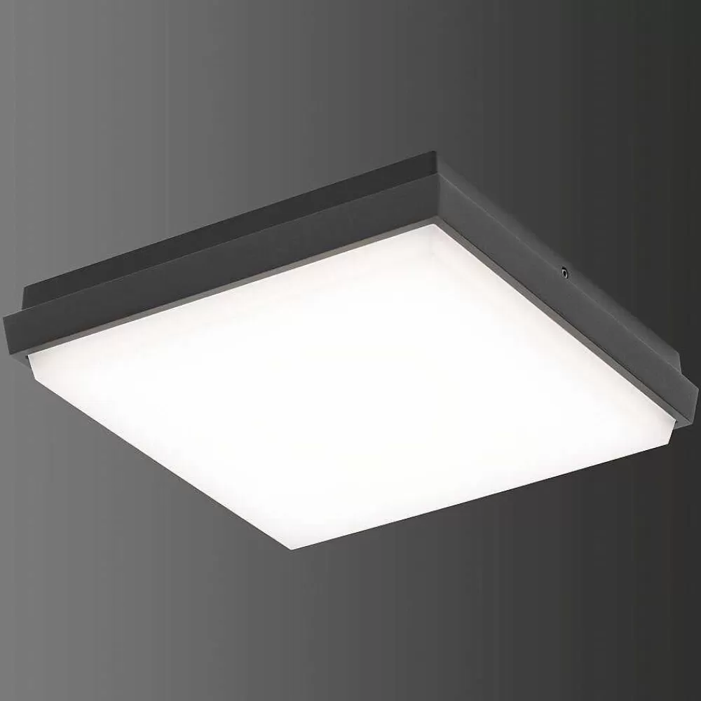 Luminaires LCD Plafonnier Exterieur Lcd Typ 5060 Led Noir, 1 Lumiere