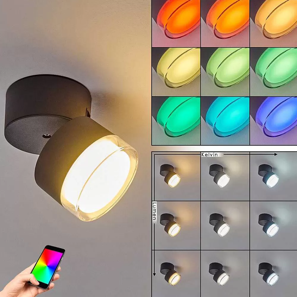 hofstein Plafonnier Exterieur Papagayos Led Anthracite, Blanc, 1 Lumiere, Changeur De Couleurs