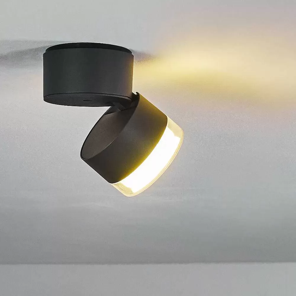 hofstein Plafonnier Exterieur Papagayos Led Anthracite, Blanc, 1 Lumiere, Changeur De Couleurs