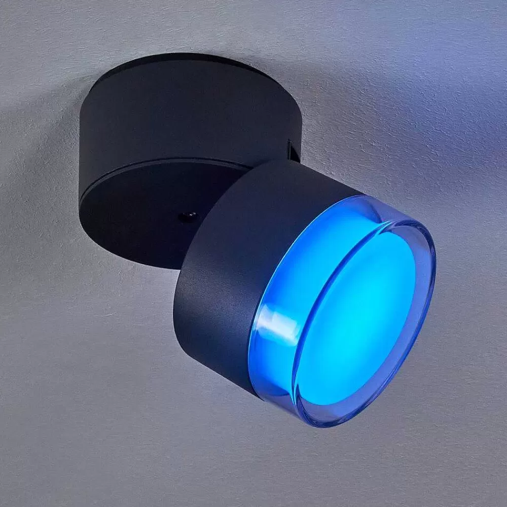 hofstein Plafonnier Exterieur Papagayos Led Anthracite, Blanc, 1 Lumiere, Changeur De Couleurs