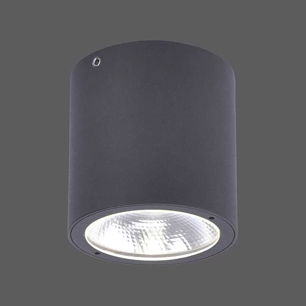 Luminaires Paul Neuhaus Plafonnier Paul Neuhaus Georg Led Anthracite, 1 Lumiere