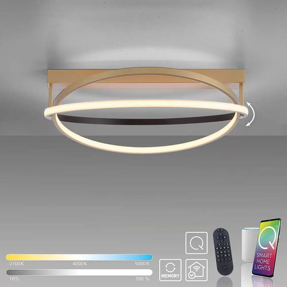 Paul Neuhaus Q-Serie Plafonnier Paul Neuhaus Q-Beluga Led Or, 1 Lumiere, Telecommandes