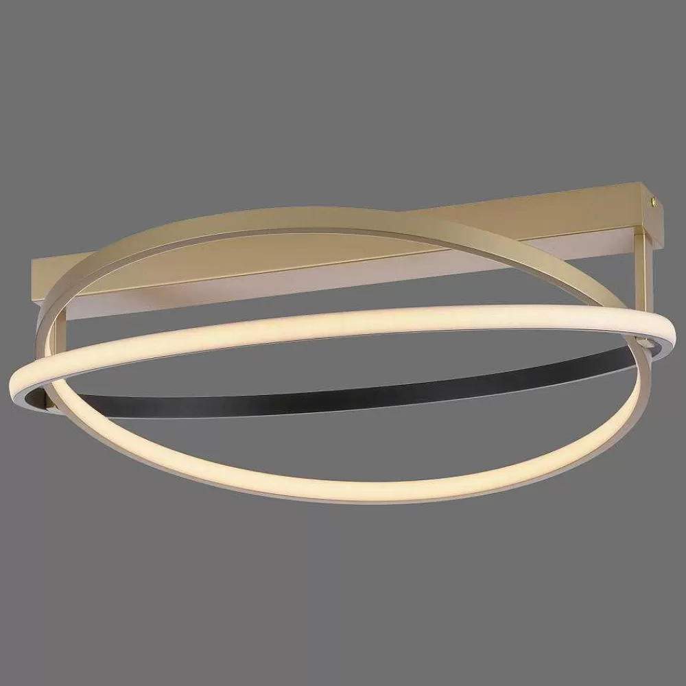 Paul Neuhaus Q-Serie Plafonnier Paul Neuhaus Q-Beluga Led Or, 1 Lumiere, Telecommandes