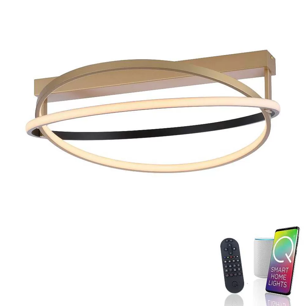 Paul Neuhaus Q-Serie Plafonnier Paul Neuhaus Q-Beluga Led Or, 1 Lumiere, Telecommandes