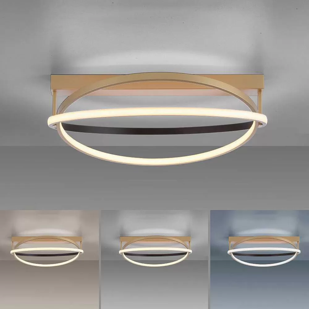 Paul Neuhaus Q-Serie Plafonnier Paul Neuhaus Q-Beluga Led Or, 1 Lumiere, Telecommandes