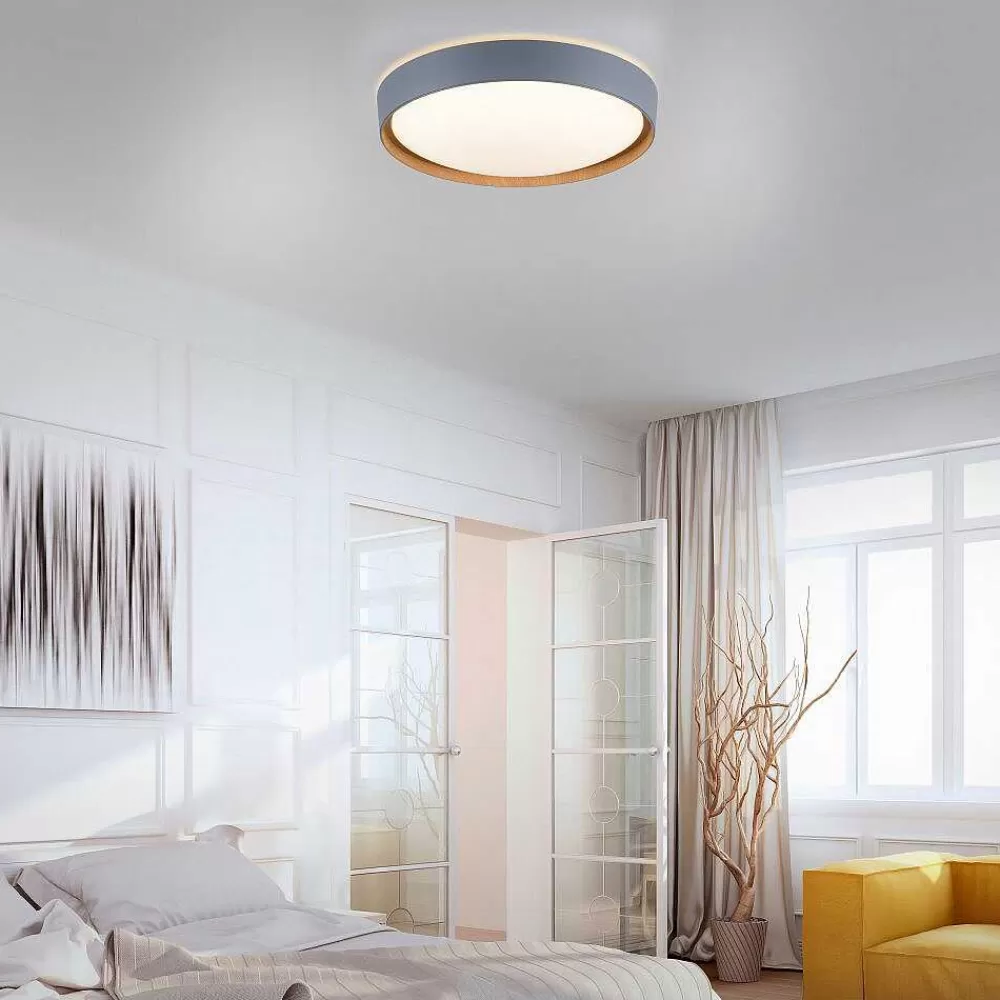 Paul Neuhaus Q-Serie Plafonnier Paul Neuhaus Q-Emilia Led Gris, Couleur Bois, 1 Lumiere, Telecommandes