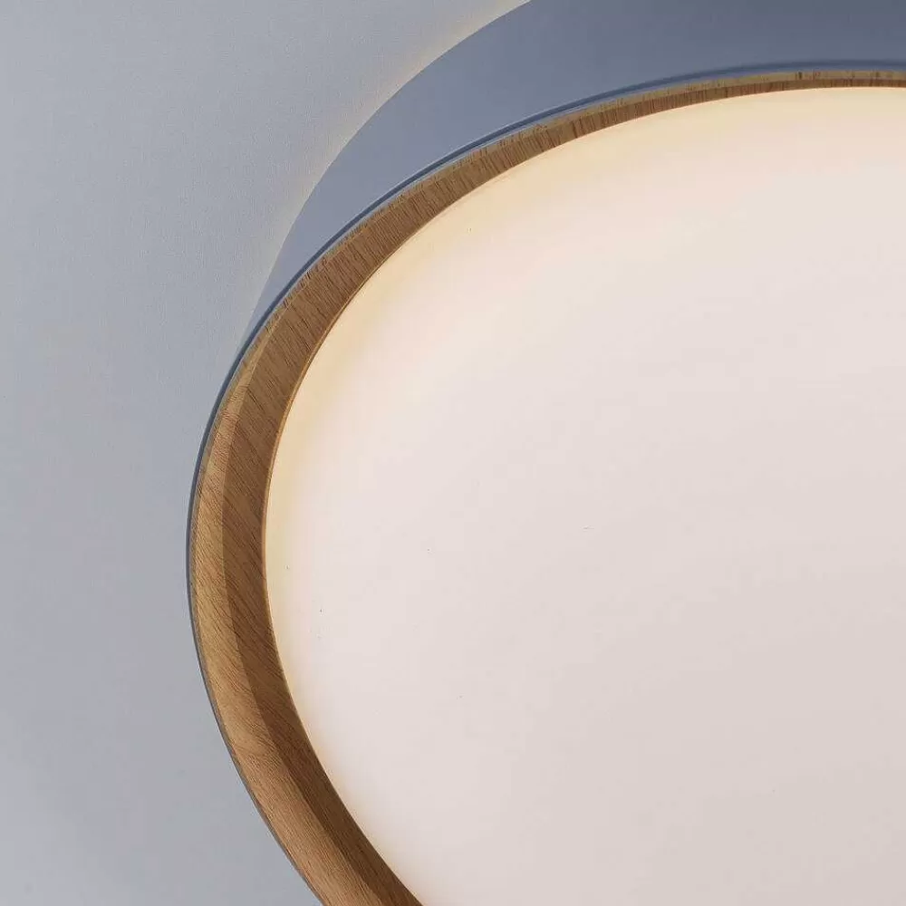 Paul Neuhaus Q-Serie Plafonnier Paul Neuhaus Q-Emilia Led Gris, Couleur Bois, 1 Lumiere, Telecommandes