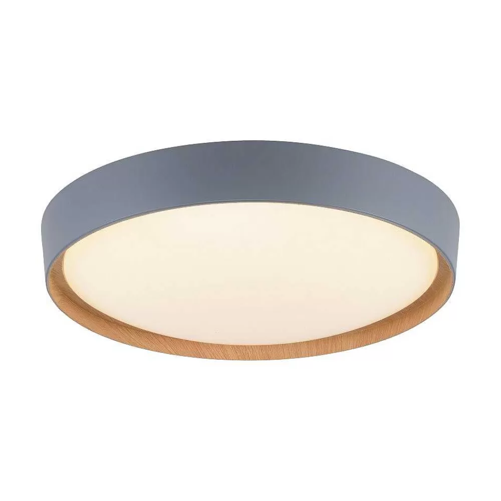 Paul Neuhaus Q-Serie Plafonnier Paul Neuhaus Q-Emilia Led Gris, Couleur Bois, 1 Lumiere, Telecommandes