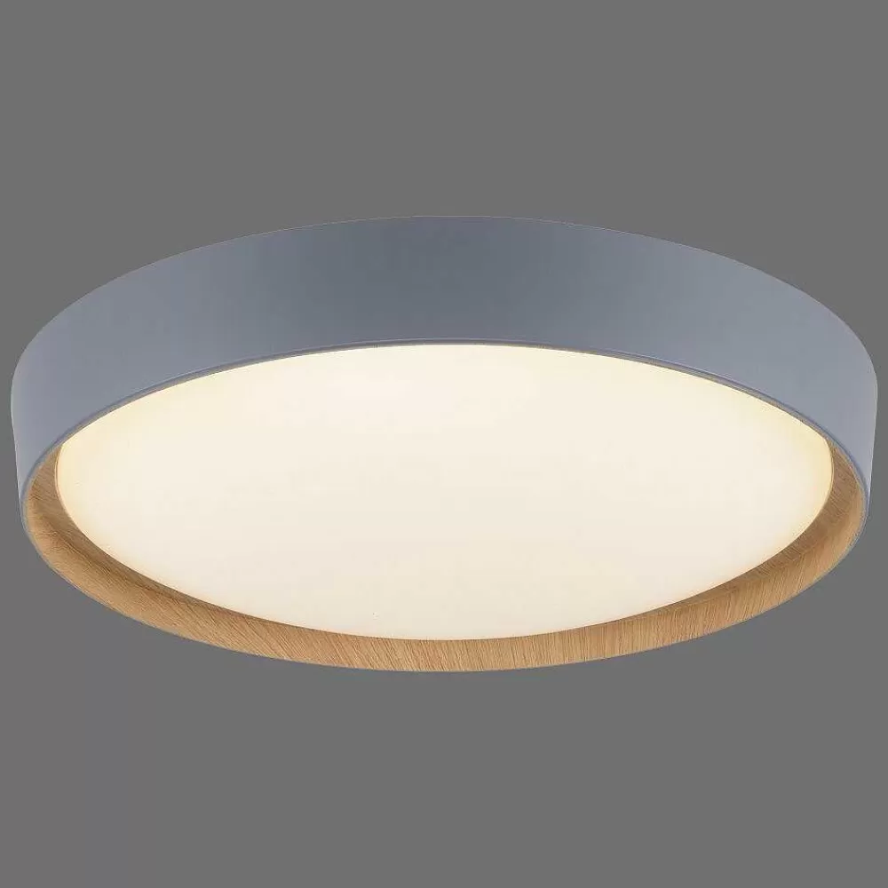 Paul Neuhaus Q-Serie Plafonnier Paul Neuhaus Q-Emilia Led Gris, Couleur Bois, 1 Lumiere, Telecommandes