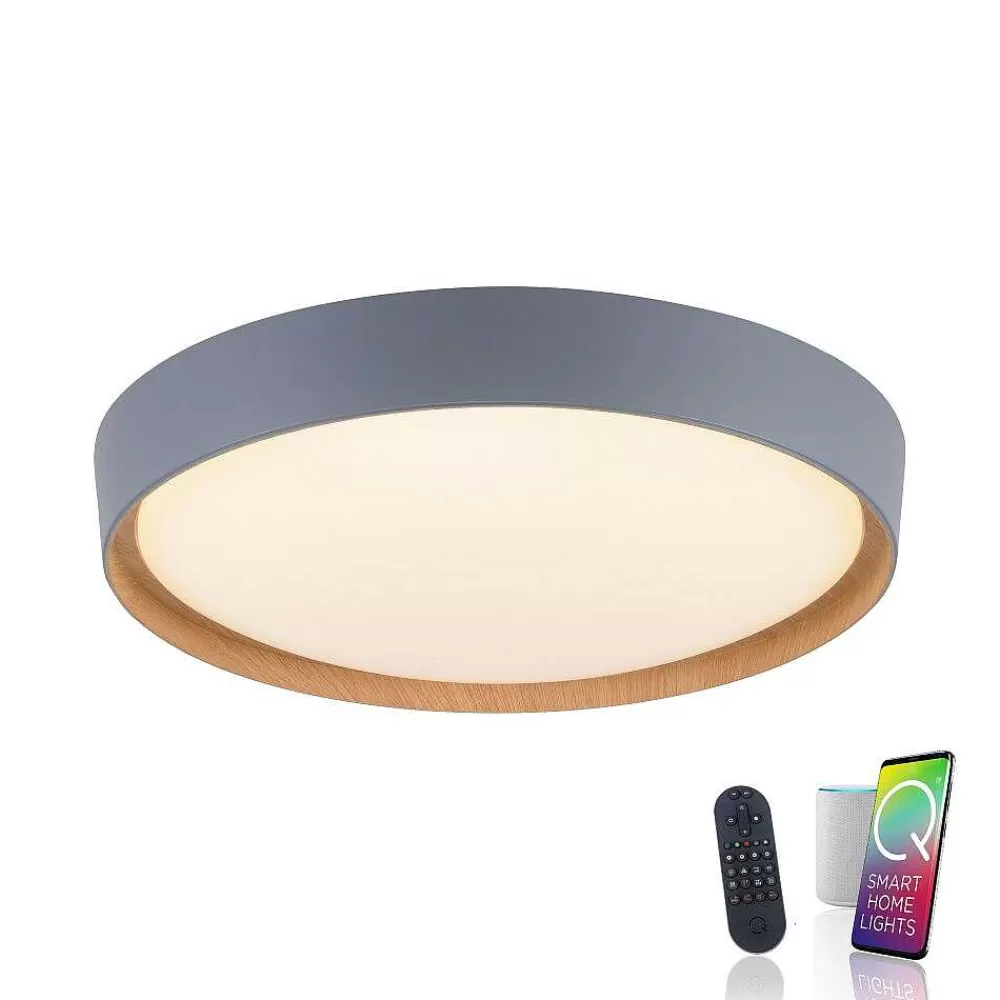 Paul Neuhaus Q-Serie Plafonnier Paul Neuhaus Q-Emilia Led Gris, Couleur Bois, 1 Lumiere, Telecommandes