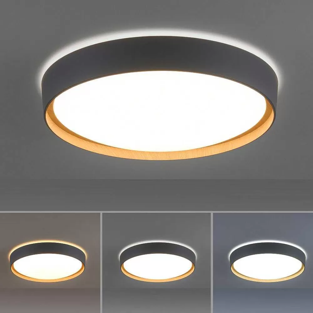 Paul Neuhaus Q-Serie Plafonnier Paul Neuhaus Q-Emilia Led Gris, Couleur Bois, 1 Lumiere, Telecommandes