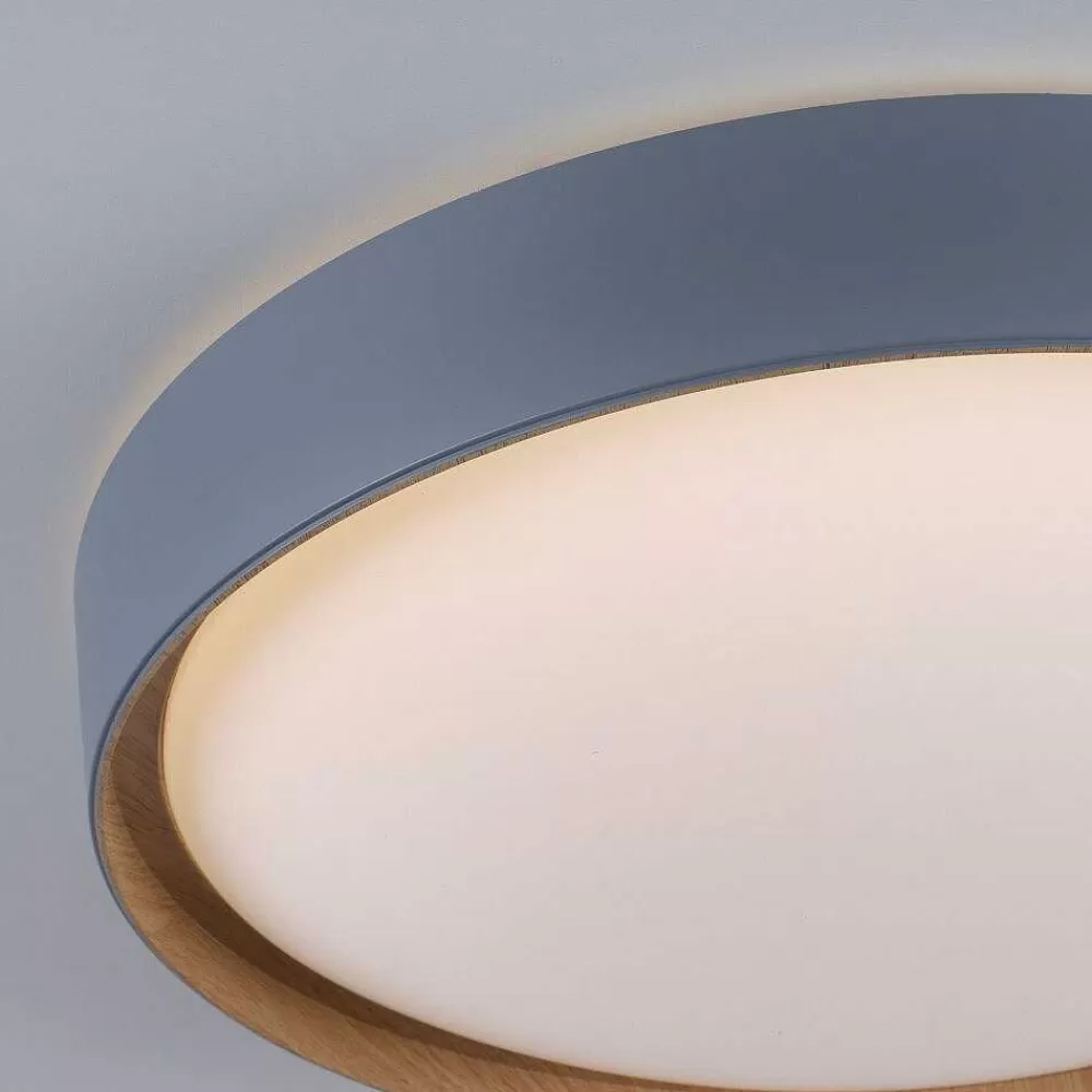 Paul Neuhaus Q-Serie Plafonnier Paul Neuhaus Q-Emilia Led Gris, Couleur Bois, 1 Lumiere, Telecommandes