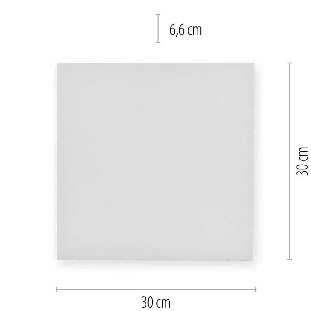 Paul Neuhaus Q-Serie Plafonnier Paul Neuhaus Q-Flag Led Blanc, 1 Lumiere, Telecommandes, Changeur De Couleurs