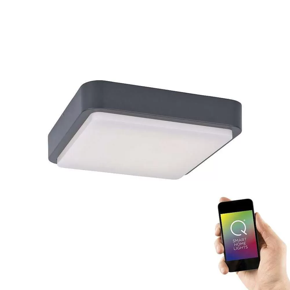 Paul Neuhaus Q-Serie Plafonnier Paul Neuhaus Q-Lenny Led Anthracite, 1 Lumiere, Telecommandes, Changeur De Couleurs