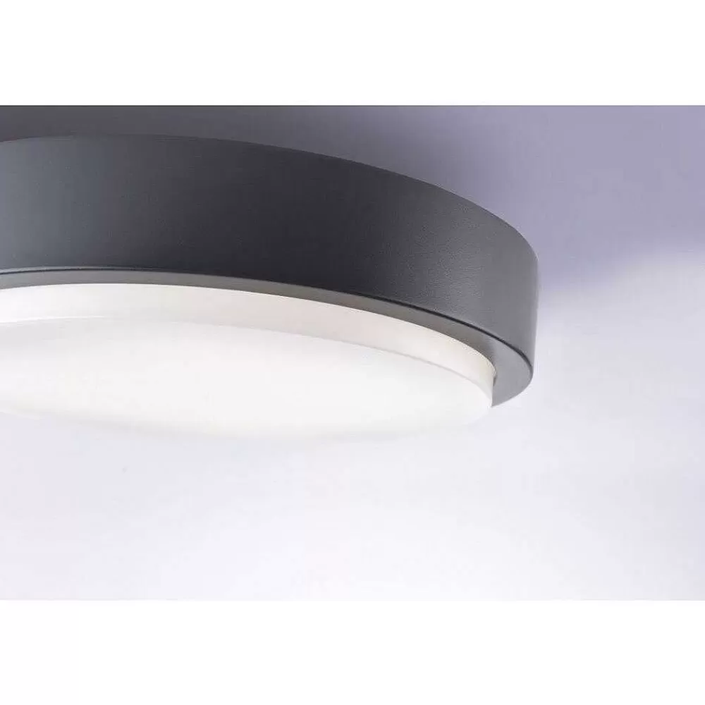 Paul Neuhaus Q-Serie Plafonnier Paul Neuhaus Q-Lenny Led Anthracite, 1 Lumiere, Telecommandes, Changeur De Couleurs
