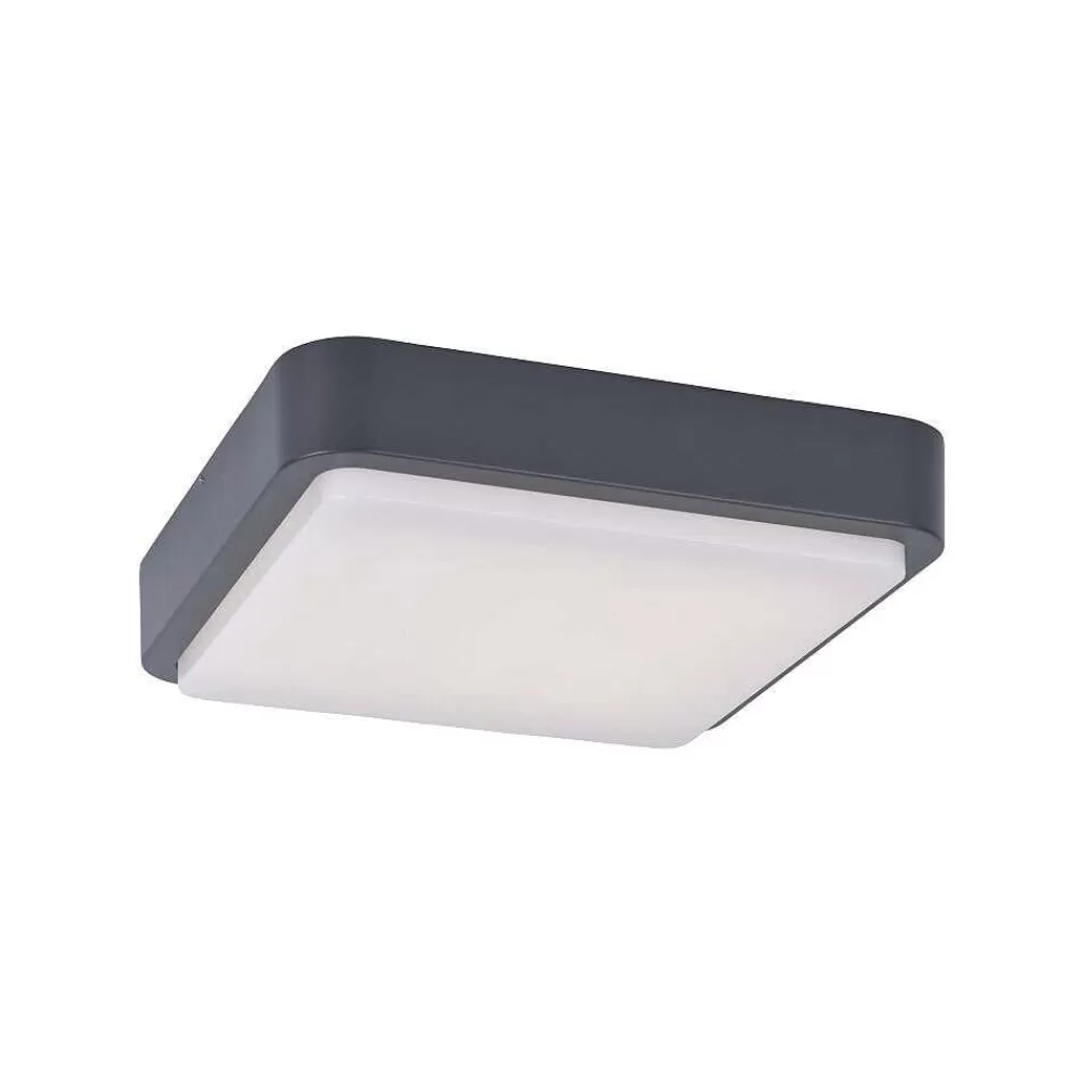 Paul Neuhaus Q-Serie Plafonnier Paul Neuhaus Q-Lenny Led Anthracite, 1 Lumiere, Telecommandes, Changeur De Couleurs