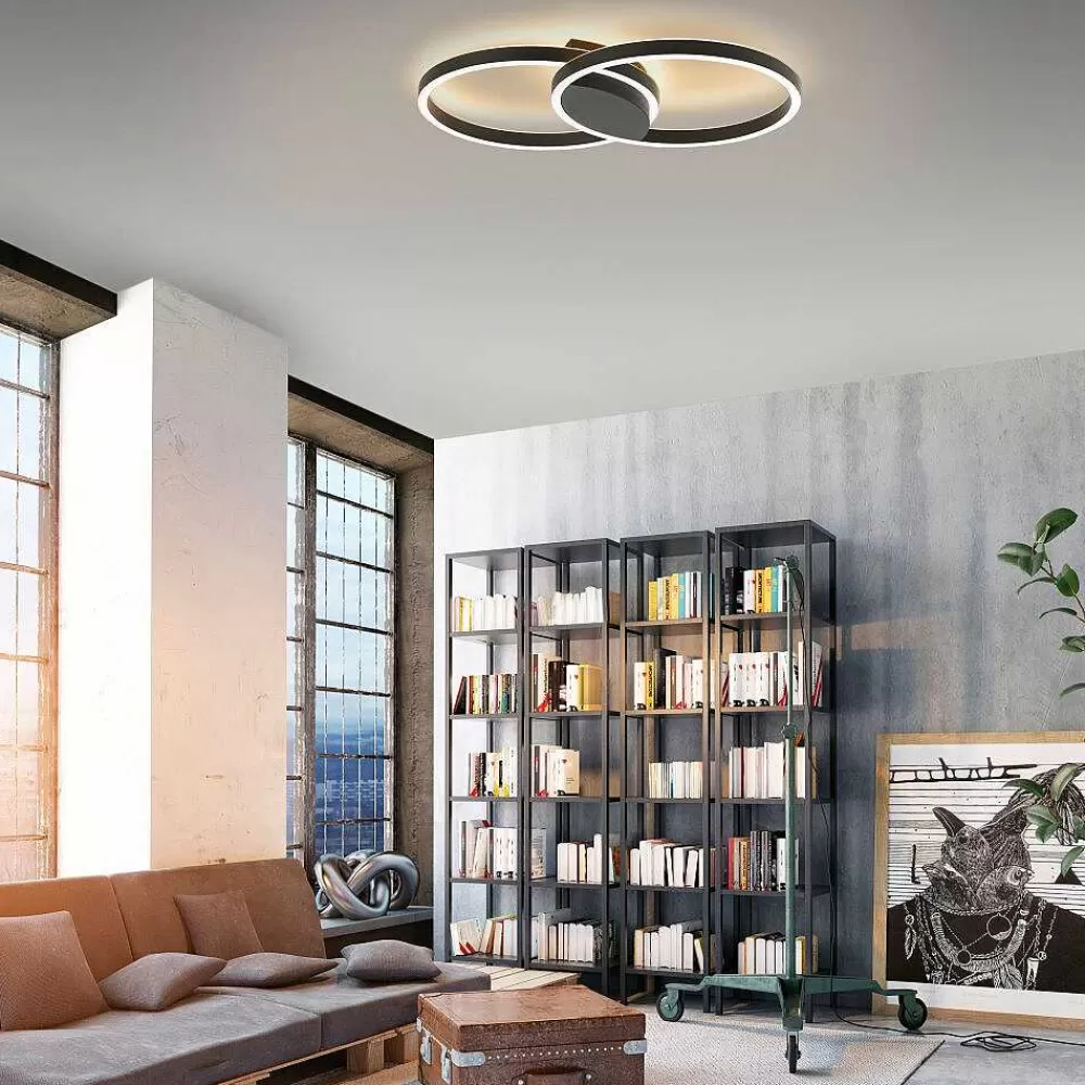 Paul Neuhaus Q-Serie Plafonnier Paul Neuhaus Q-Marko Led Noir, 1 Lumiere, Telecommandes, Changeur De Couleurs