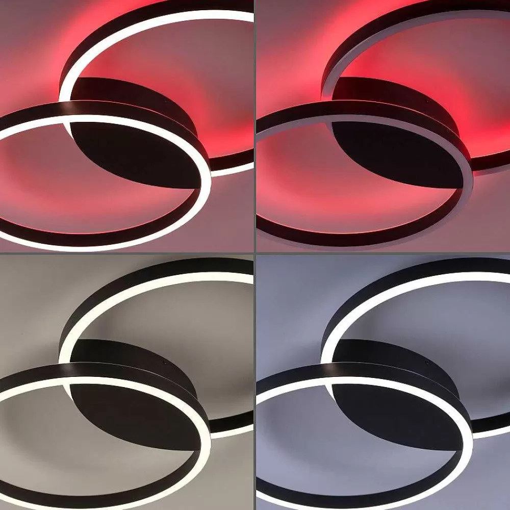 Paul Neuhaus Q-Serie Plafonnier Paul Neuhaus Q-Marko Led Noir, 1 Lumiere, Telecommandes, Changeur De Couleurs