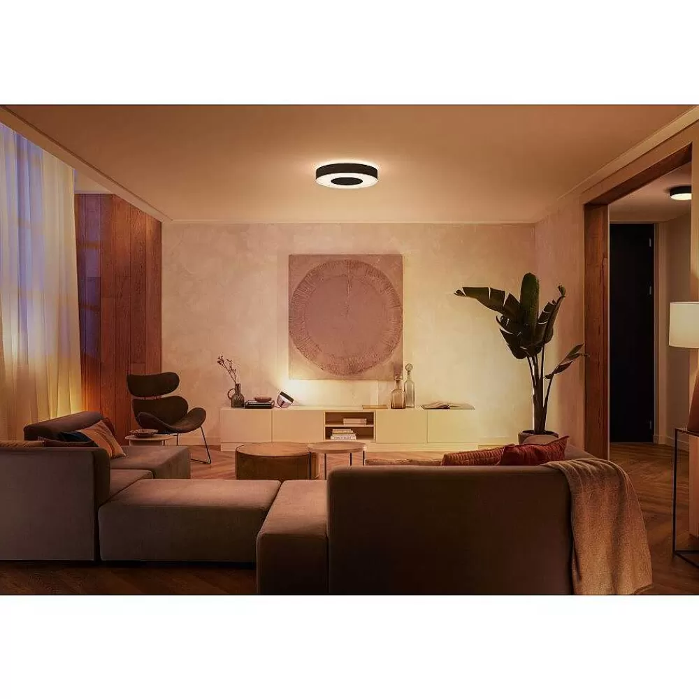 Luminaires Philips Plafonnier Philips Hue Infuse Led Noir, 1 Lumiere, Changeur De Couleurs