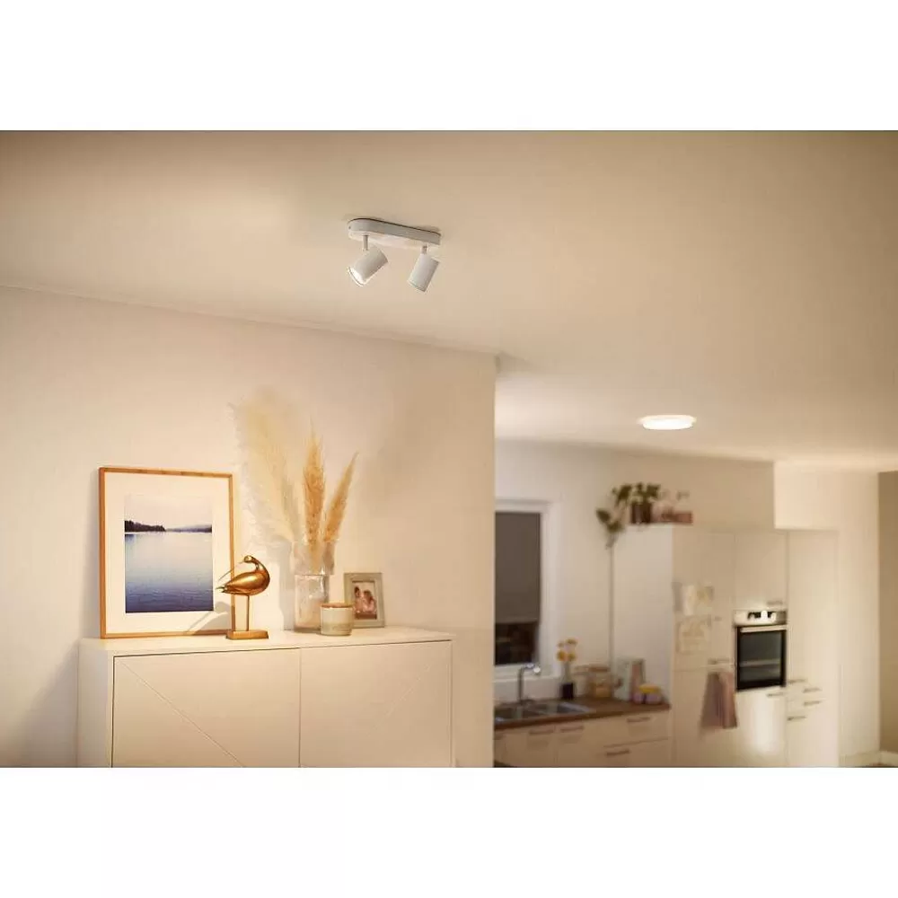 Luminaires Philips Plafonnier Philips Wiz Imageo Led Blanc, 2 Lumieres, Changeur De Couleurs