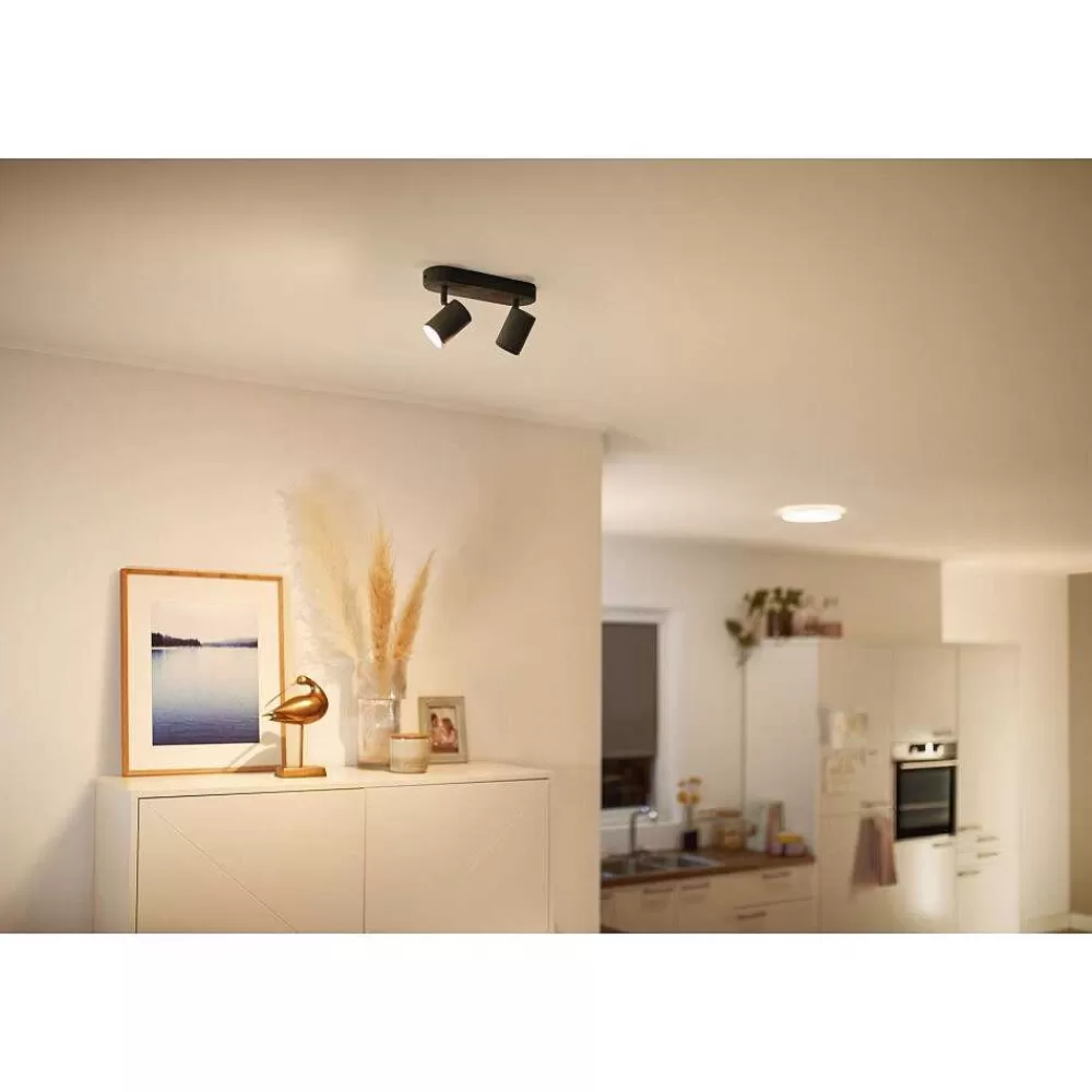 Luminaires Philips Plafonnier Philips Wiz Imageo Led Noir, 2 Lumieres, Changeur De Couleurs