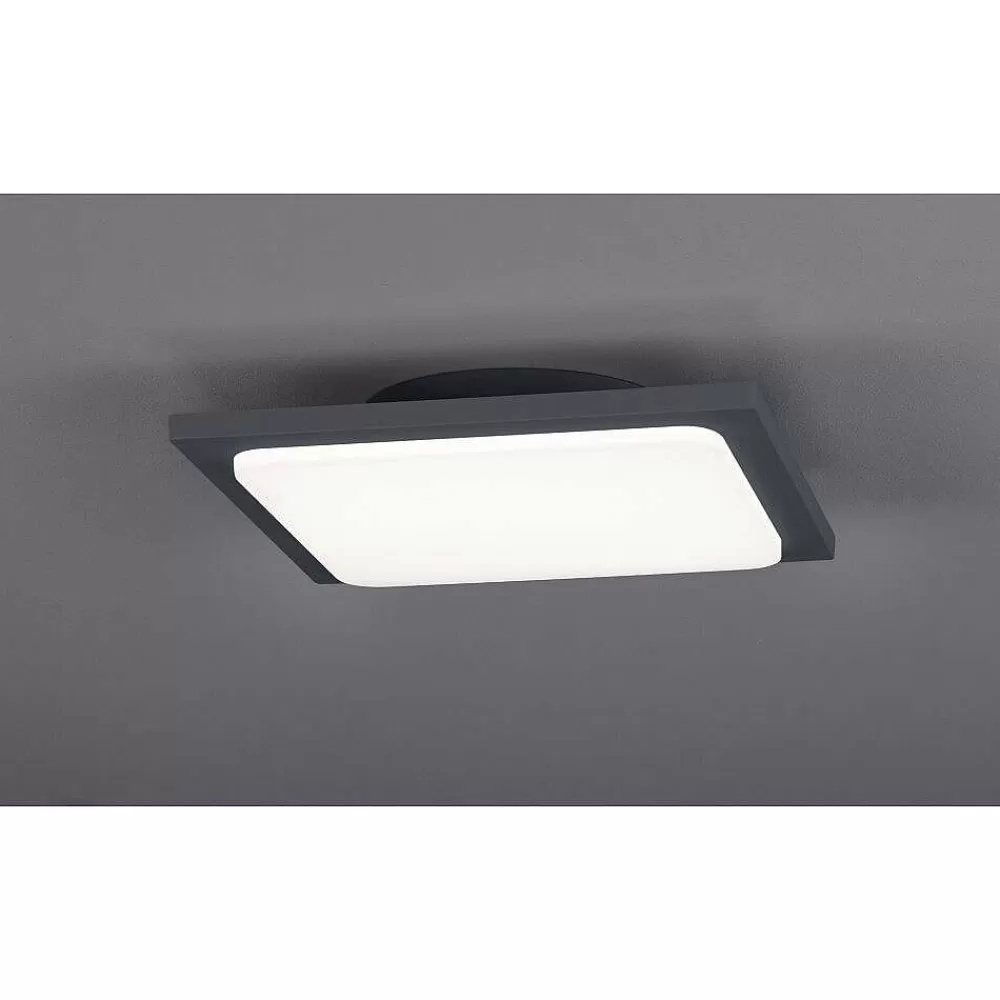 Luminaires Trio Plafonnier Trio Trave Led Anthracite, 1 Lumiere