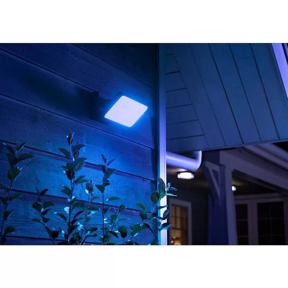 Luminaires Philips Projecteur Philips Hue Ambiance White & Color Discover Led Noir, 1 Lumiere, Changeur De Couleurs