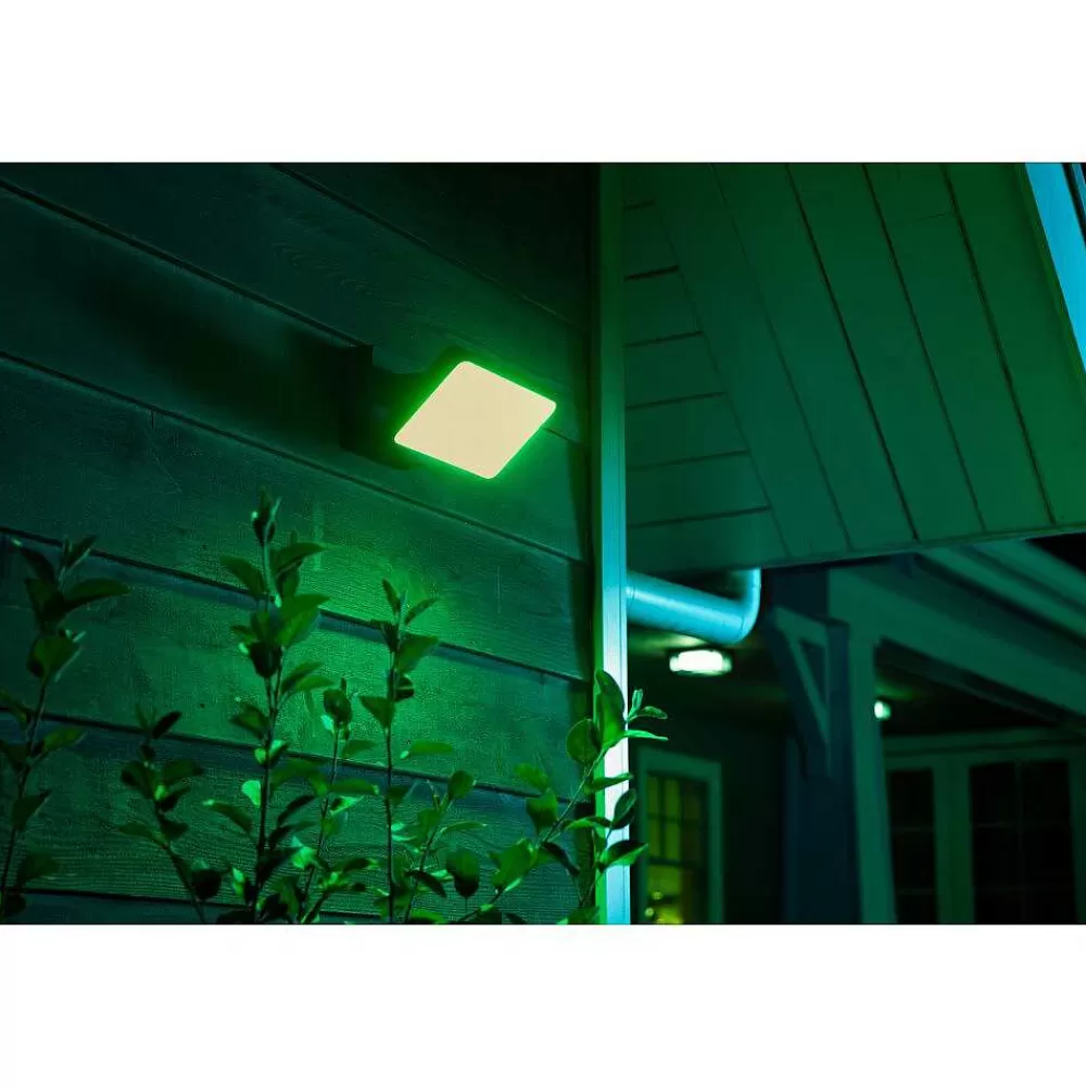 Luminaires Philips Projecteur Philips Hue Ambiance White & Color Discover Led Noir, 1 Lumiere, Changeur De Couleurs