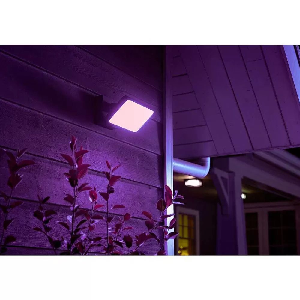 Luminaires Philips Projecteur Philips Hue Ambiance White & Color Discover Led Noir, 1 Lumiere, Changeur De Couleurs