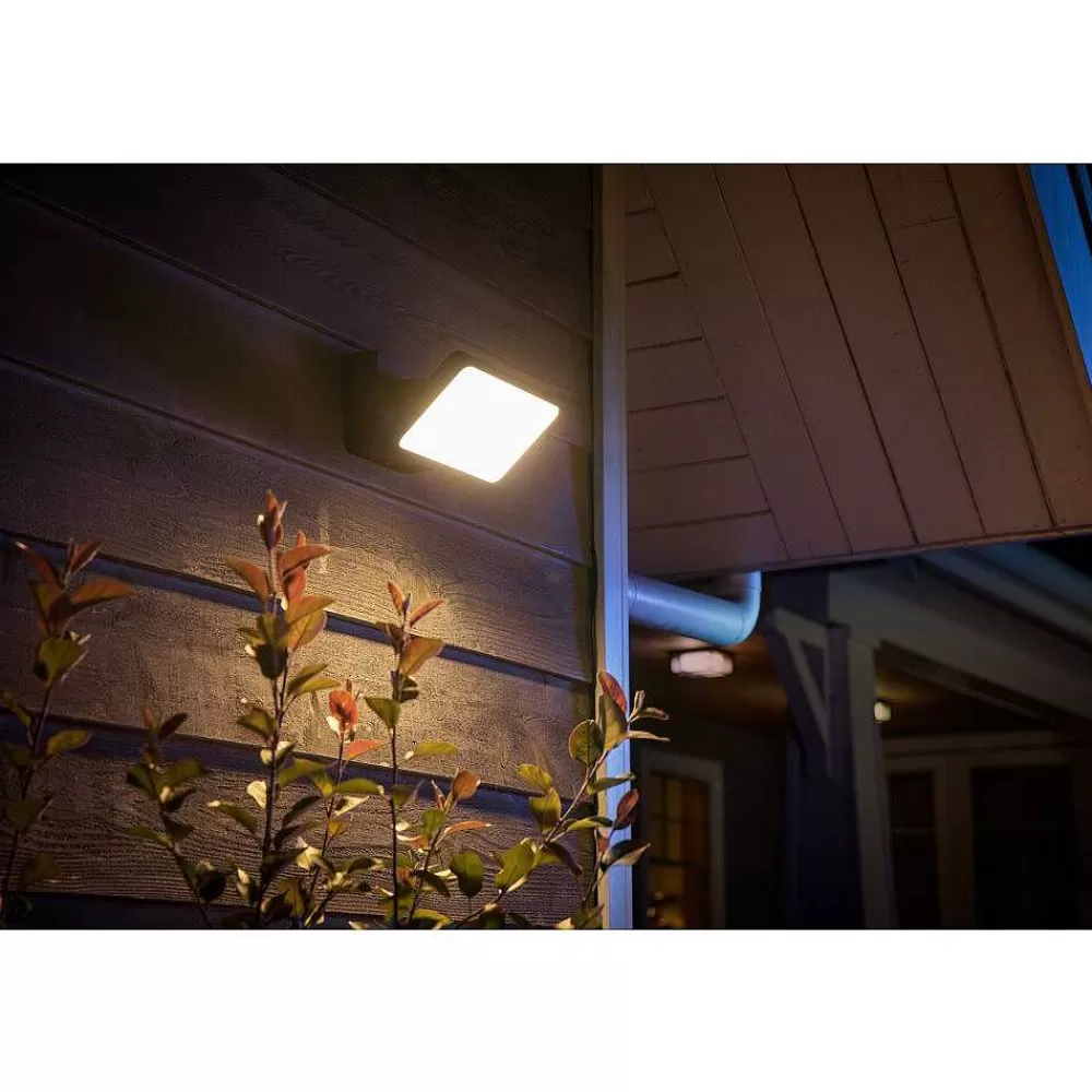 Luminaires Philips Projecteur Philips Hue Ambiance White & Color Discover Led Noir, 1 Lumiere, Changeur De Couleurs