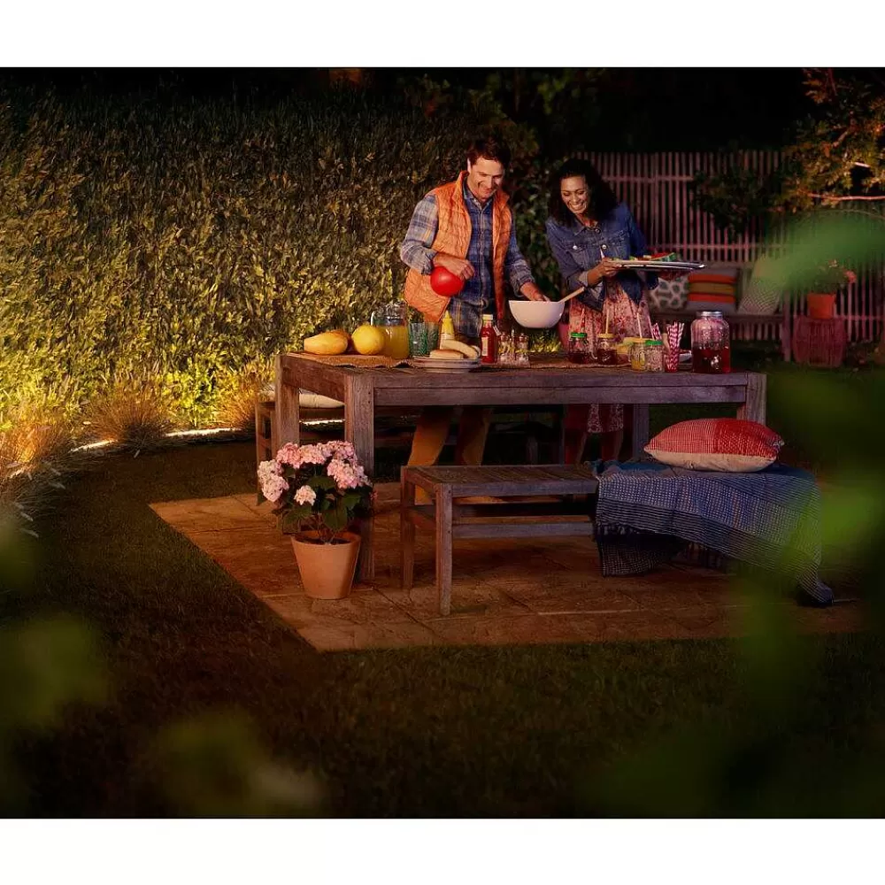 Luminaires Philips Ruban Lumineux Exterieur Philips Hue Ambiance White & Color Led Blanc, 1 Lumiere
