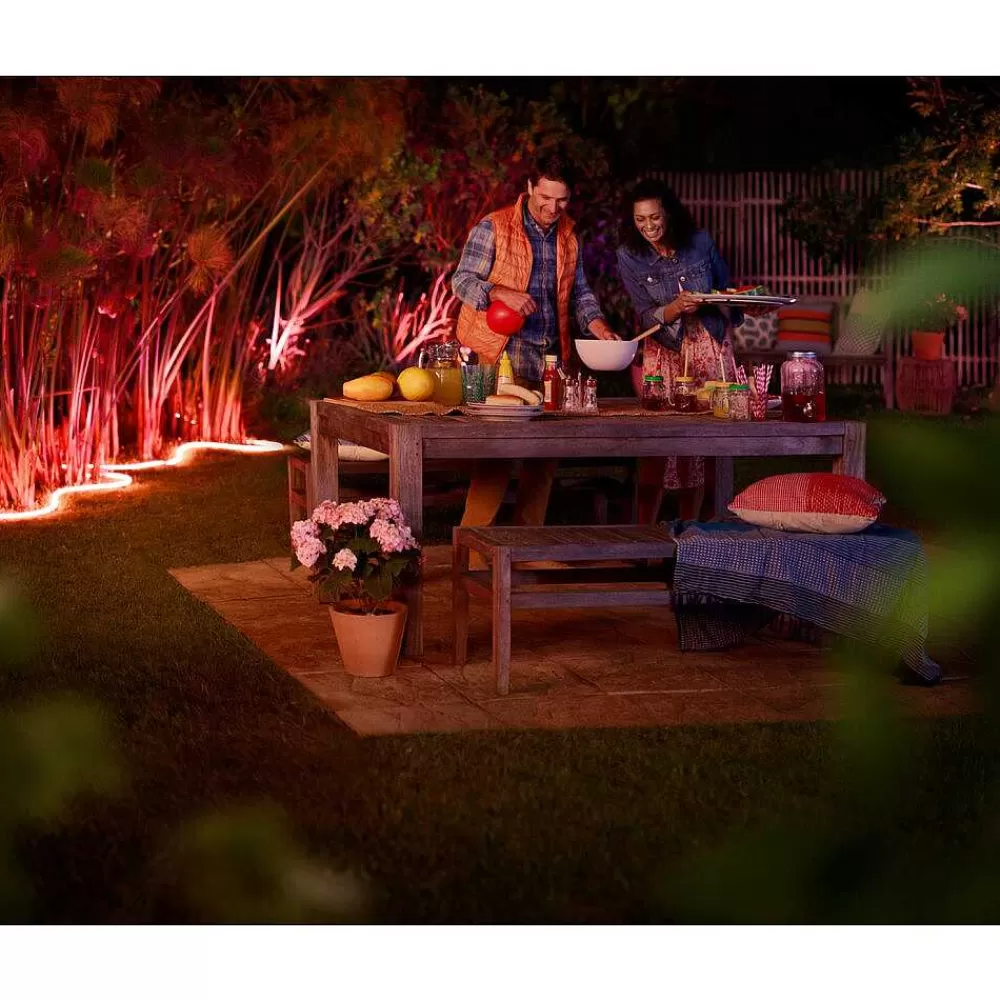 Luminaires Philips Ruban Lumineux Exterieur Philips Hue Ambiance White & Color Led Blanc, 1 Lumiere