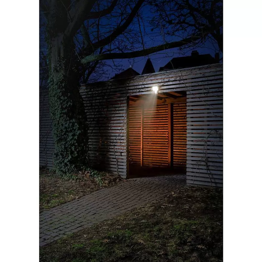 Luminaires Ledvance Spot De Jardin Ledvance Endura® Blanc, 1 Lumiere, Detecteur De Mouvement
