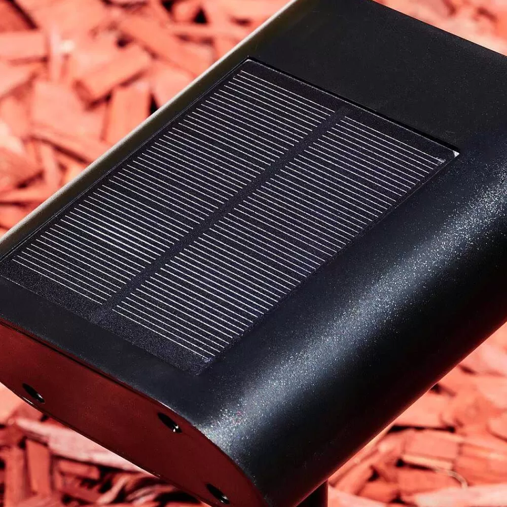 hofstein Spot De Jardin Usmagama Solar Led Noir, 1 Lumiere, Detecteur De Mouvement, Changeur De Couleurs