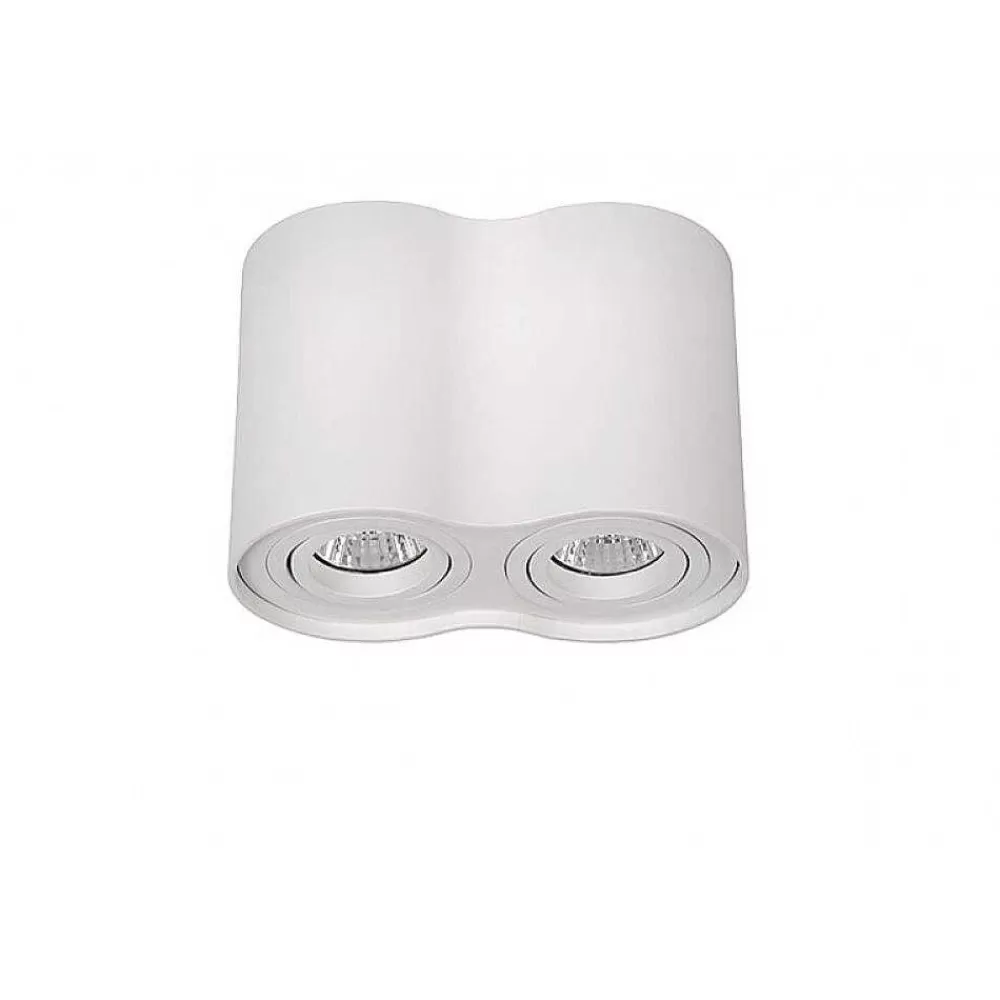 Luminaires Lucide Spot Lucide Tube Blanc, 2 Lumieres