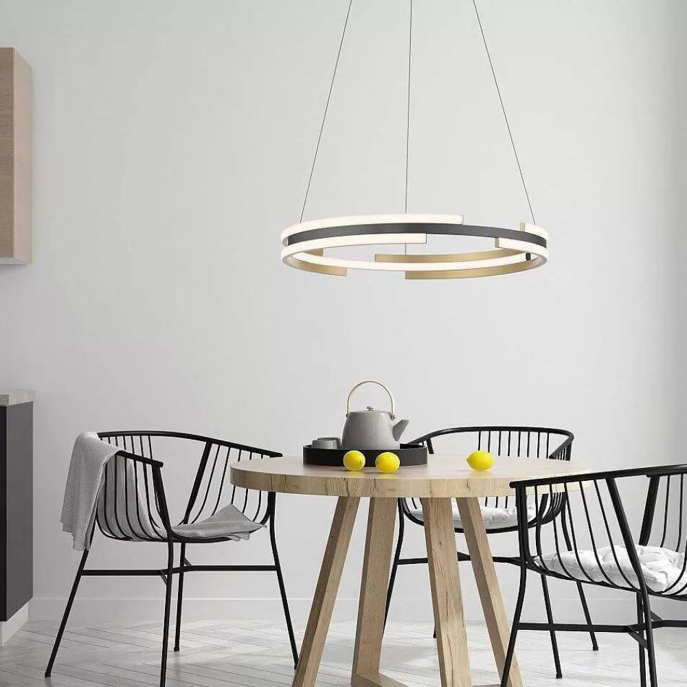 Paul Neuhaus Q-Serie Suspension Paul Neuhaus Q-Beluga Led Or, 1 Lumiere, Telecommandes