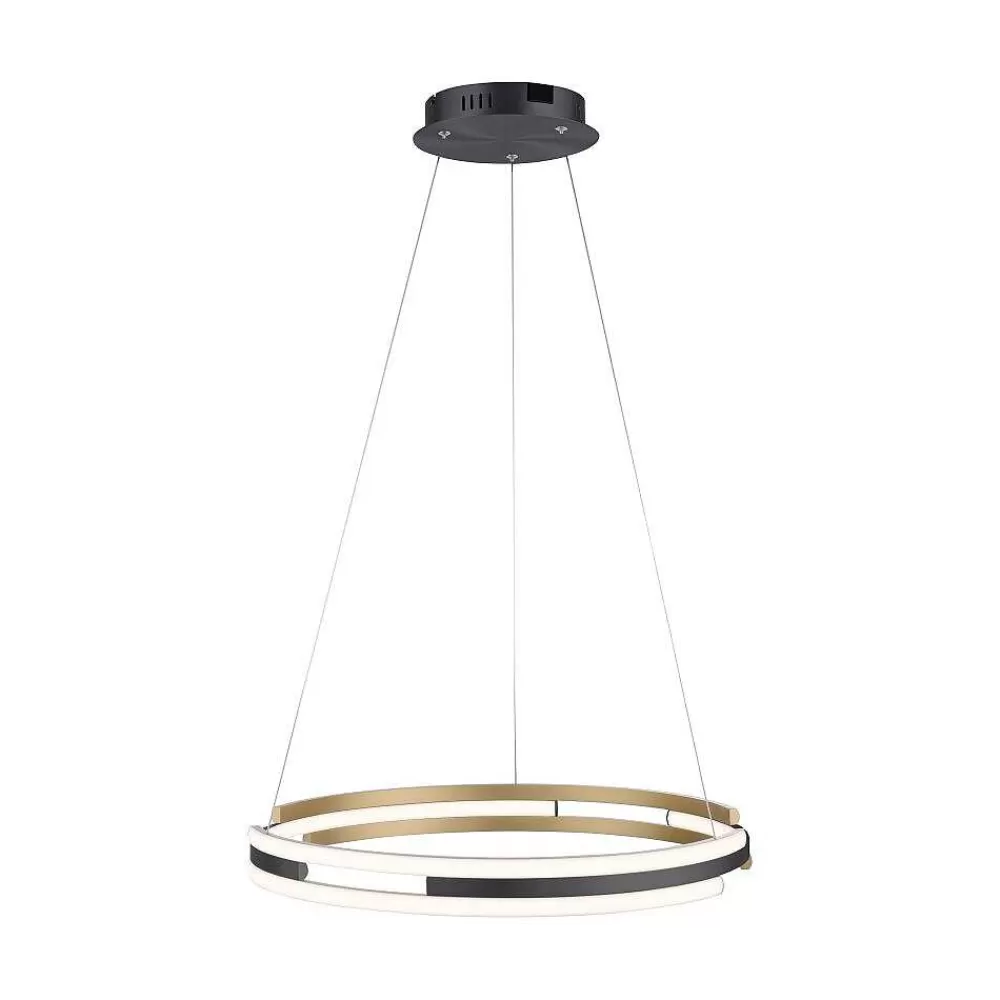 Paul Neuhaus Q-Serie Suspension Paul Neuhaus Q-Beluga Led Or, 1 Lumiere, Telecommandes